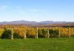 Domaine Les Bromes