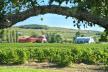 Vignoble de L'Orpailleur Économusée de la Vigne et du Vin