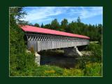 Pont couvert de Gould