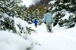 Snowy trails of the parc de la Gorge de Coaticook Snowy trails of the parc de la Gorge de Coaticook