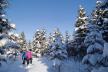 Snowshoeing at Entre Cimes et Racines