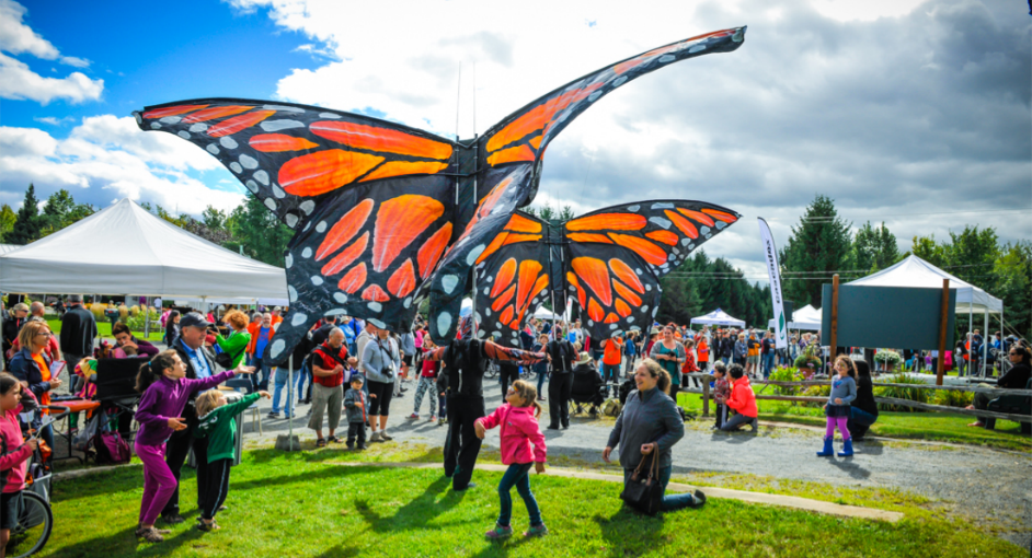 Monarch Butterfly Festival: Granby