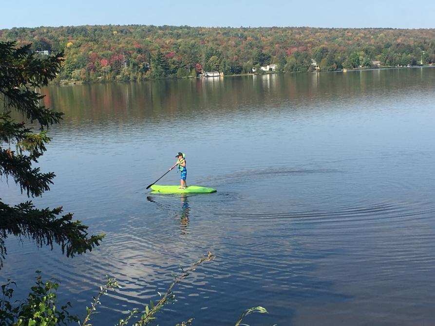 Planches à pagaie, kayaks et une chaloupe inclus dans la location: