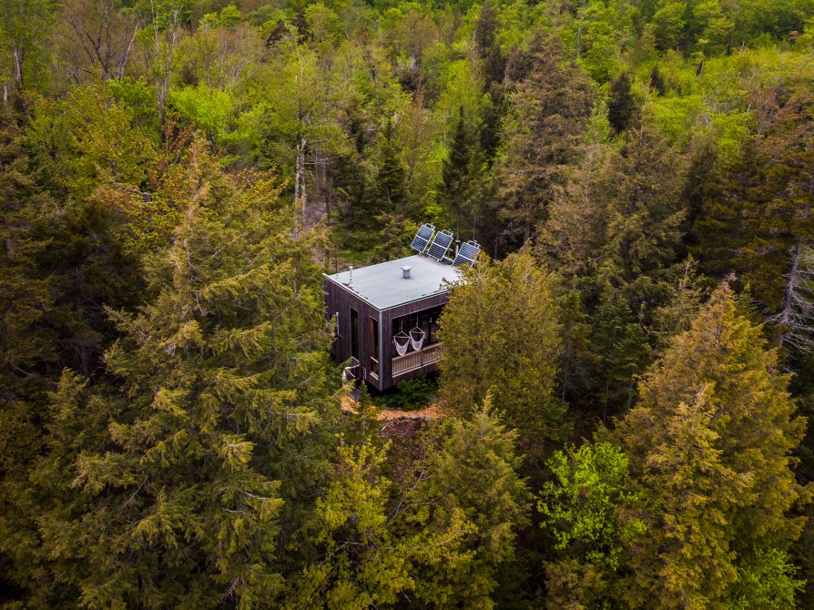 Zoobox: Our ecolodges in the forest