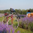 Cycling packages
