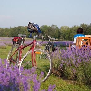 Cycling packages