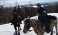 Dogsledding & horseback riding packages