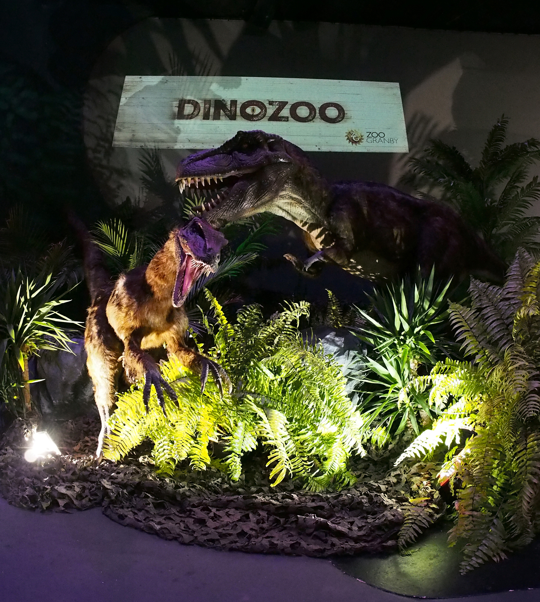 dinozoo_04.jpg