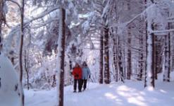  Escape to the rythm of winter in the Townships