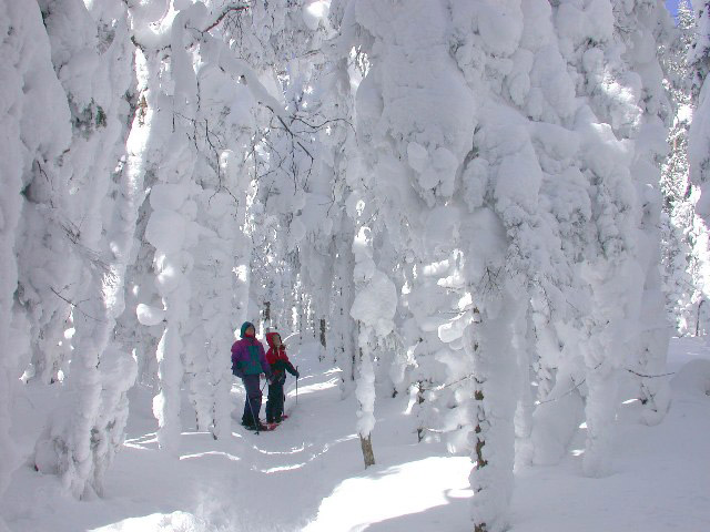 Snowshoeing at the Parc national du Mont-M&eacute;gantic &copy;S&eacute;bastien Gigu&egrave;re