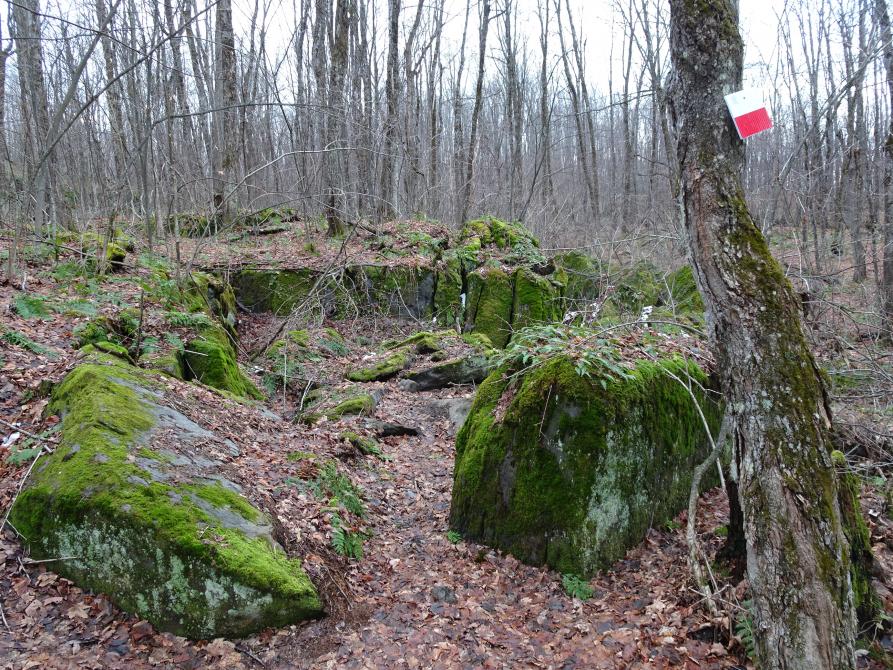 Mont John Guillemette - Stoke Zone: