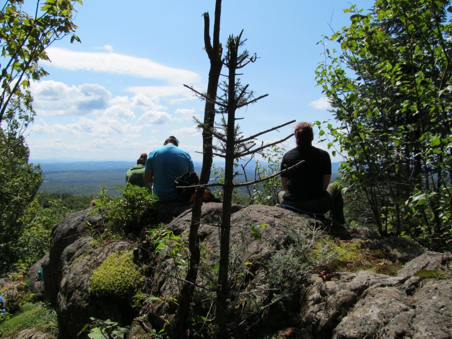 Mont Chagnon (Bolton zone):