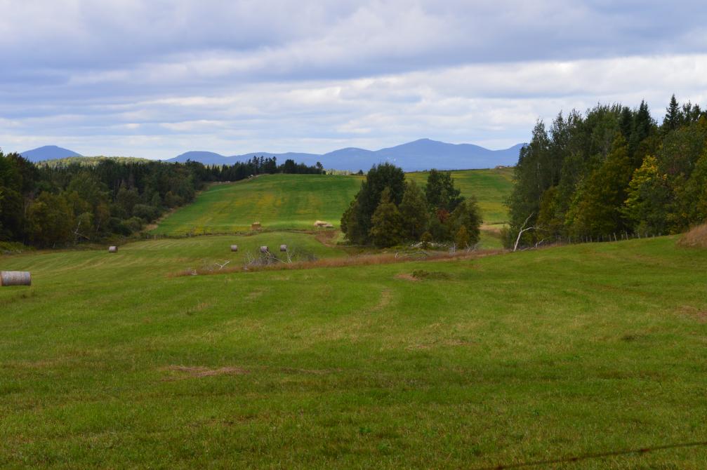 "Les mots d'enfants" hiking trail: