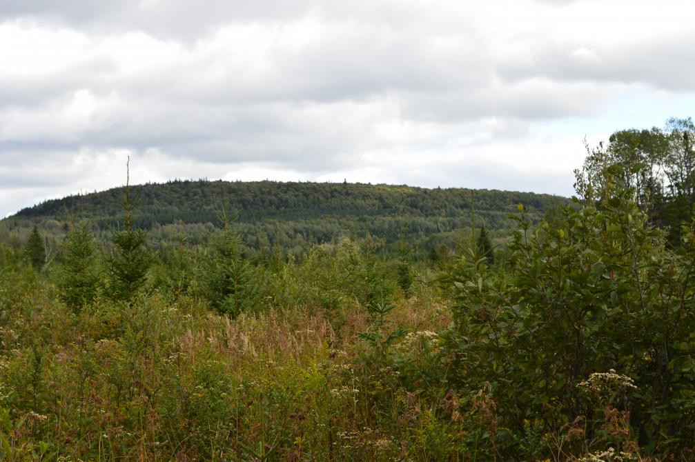 "Les mots d'enfants" hiking trail: