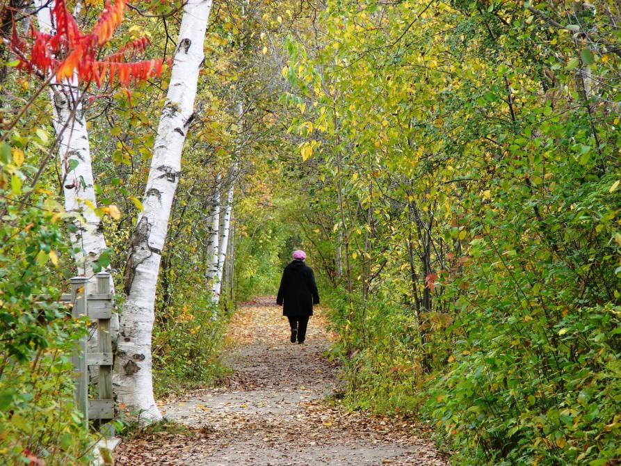 Le sentier du Pionnier: