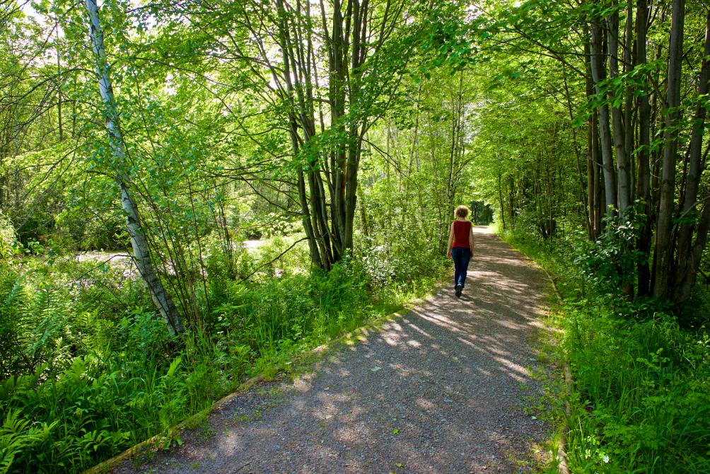 Sentier la Randonnée: