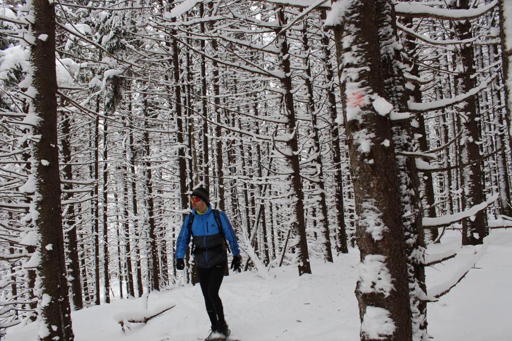 Sentier A/C winter hiking: