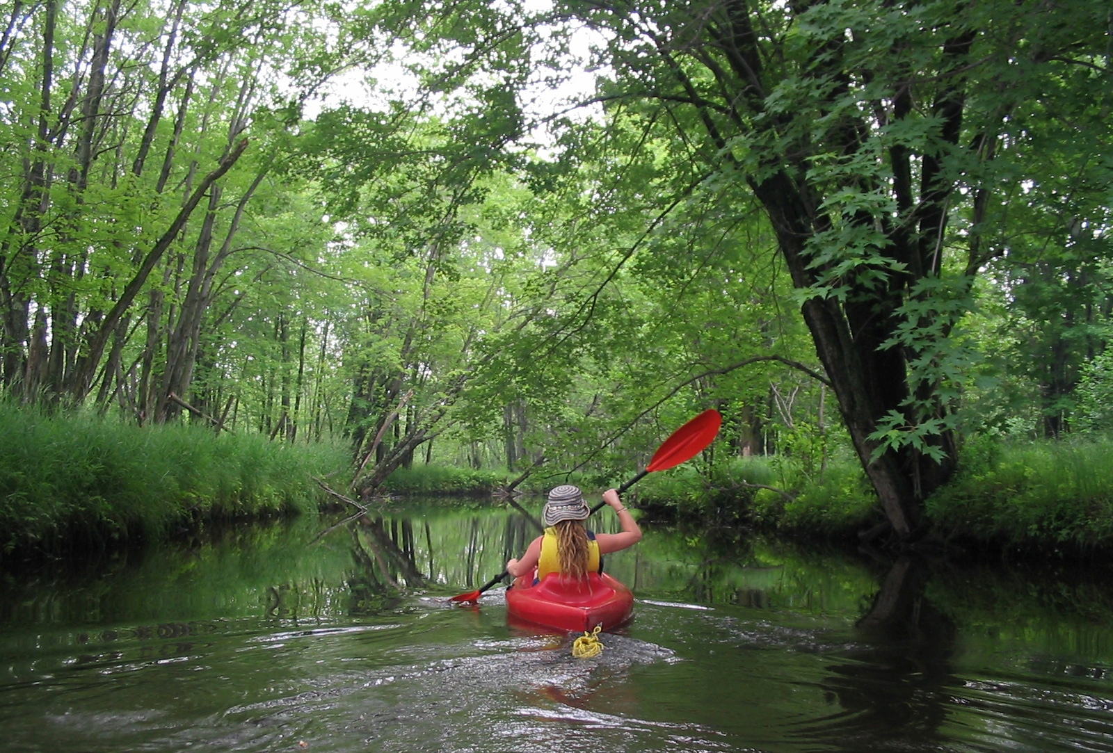 marais_riviere_cerises_kayak.jpg