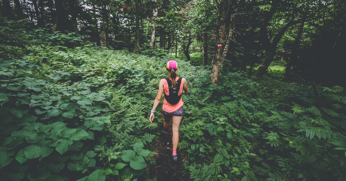 Discovering the Réserve naturelle des montagnes vertes Eastern