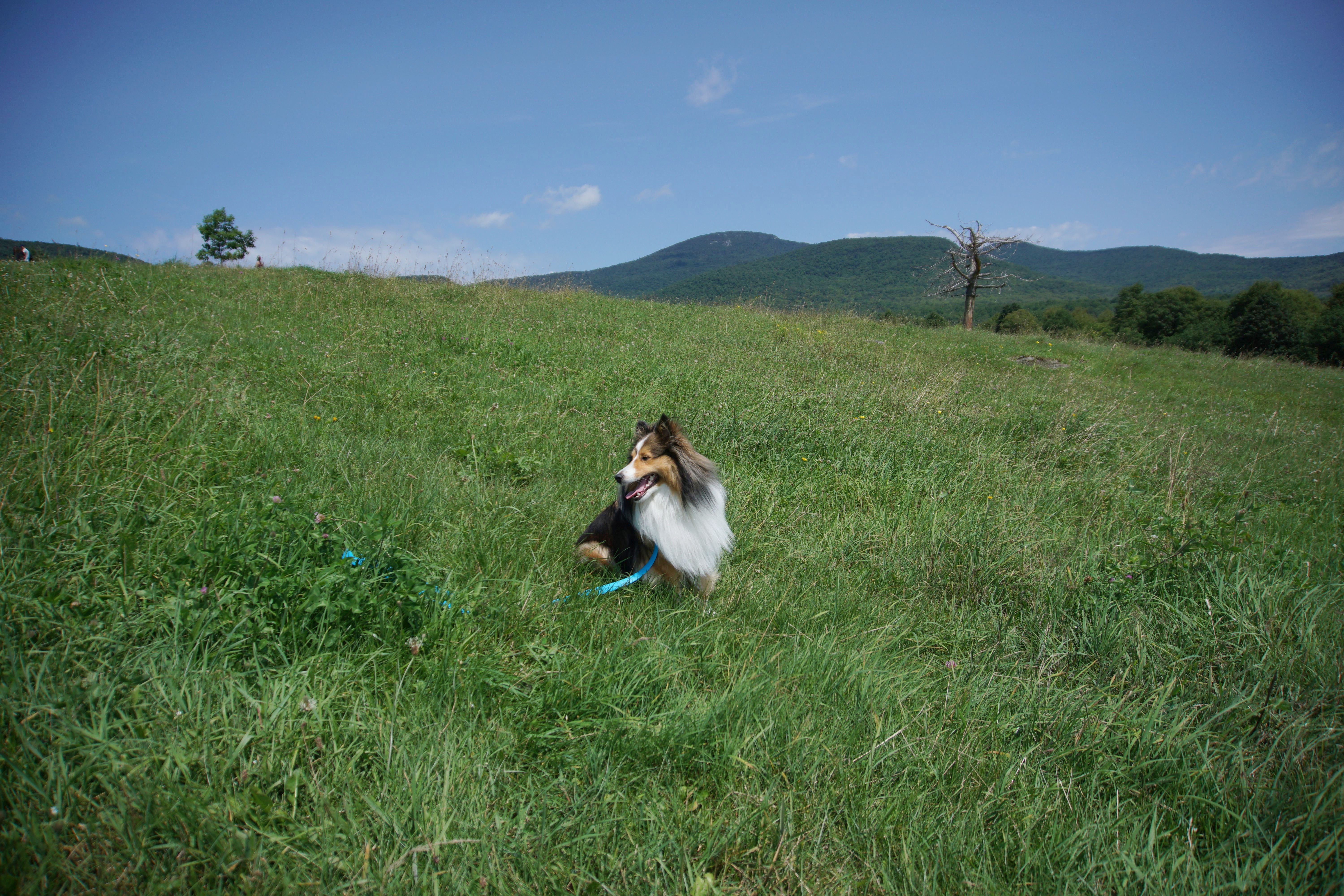 Max and Fiona on vacation in the Eastern Townships - Episode 1