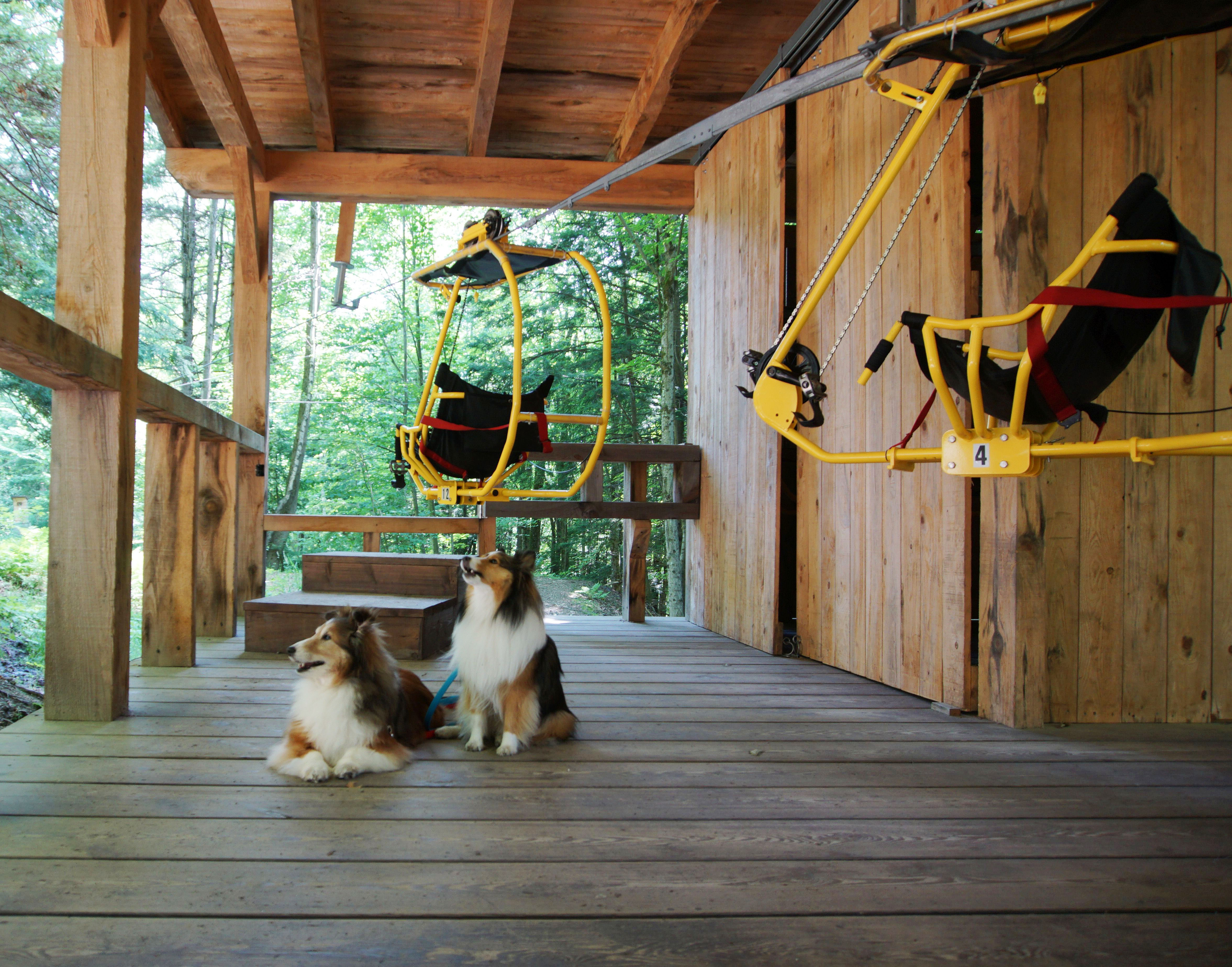 Max and Fiona on vacation at VeloVolant