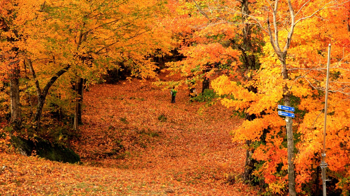 Top Spots for Fall Foliage Eastern Townships (Quebec)