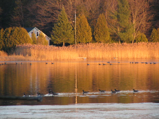 Saint-Georges lake: Saint-Georges-de-Windsor, MRC des Sources