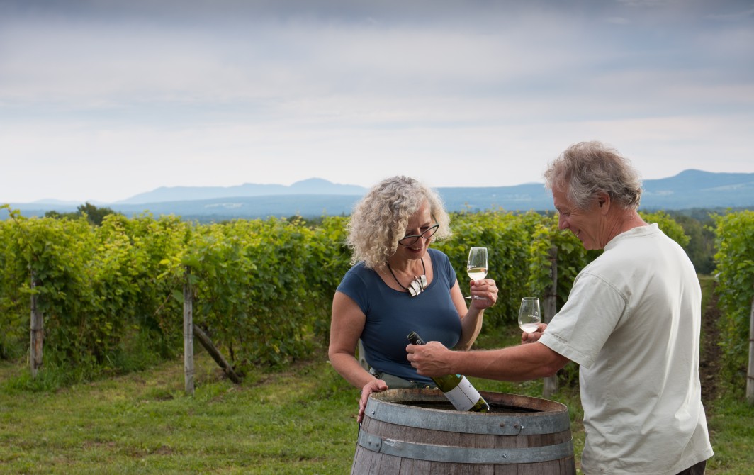 Léon Courville's vineyard - Lac-Brome: Léon Courville's vineyard - Lac-Brome (Knowlton). ©Sébastien Larose