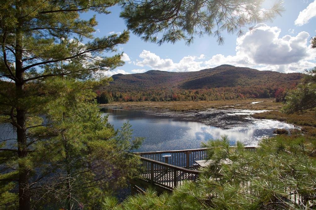 Parc national du Mont-Orford: Sébastien Larose, photographer