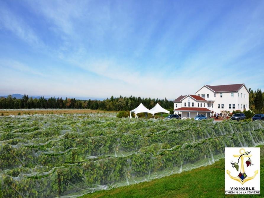 Vignoble Chemin de la Rivière:
