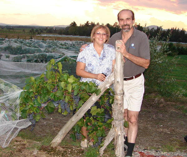 Vignoble Chemin de la Rivière:
