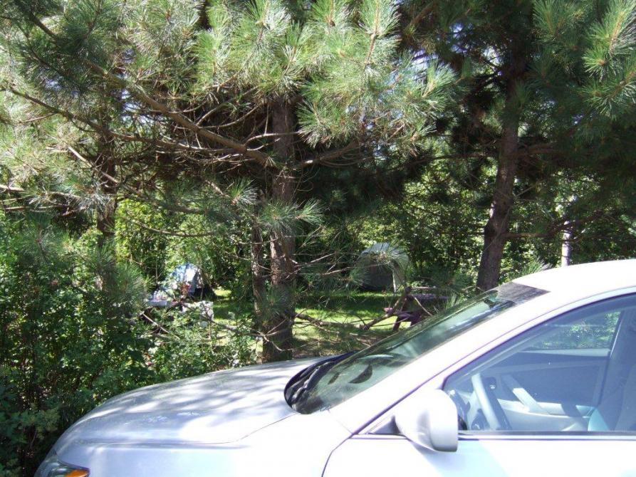 Rustic site: A total of 14 daily rustic sites are available for tents rental.