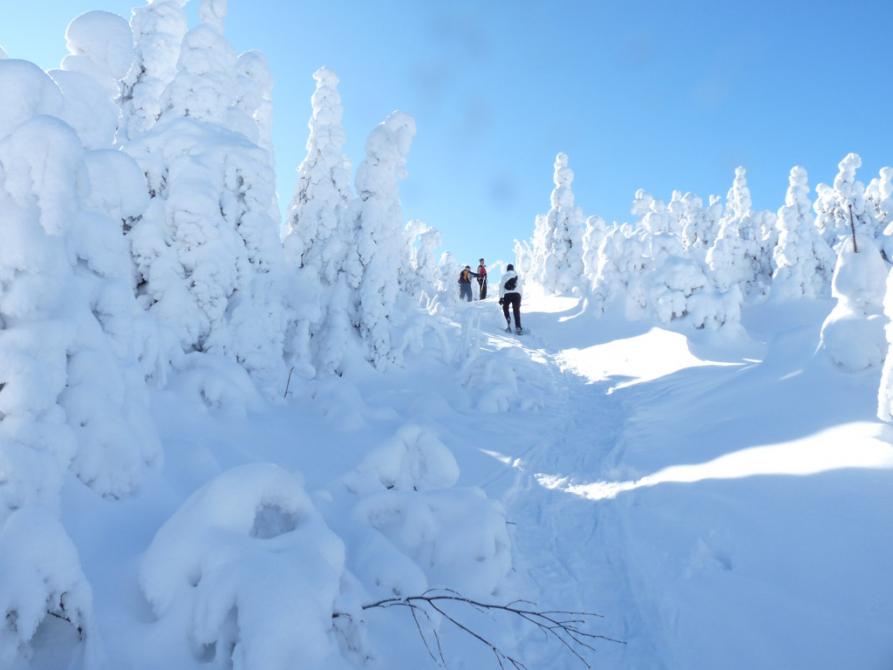 Mont Hereford - snowshoe: