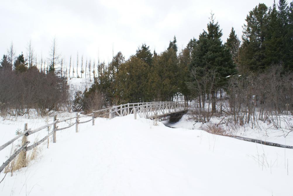 Sentier de la chaux: Forêt habitée de Dudswell