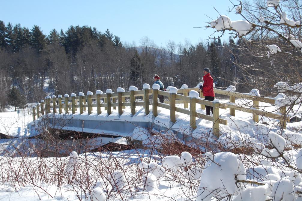 Missisquoi Nord – Backcountry pathways: Old orchard trail