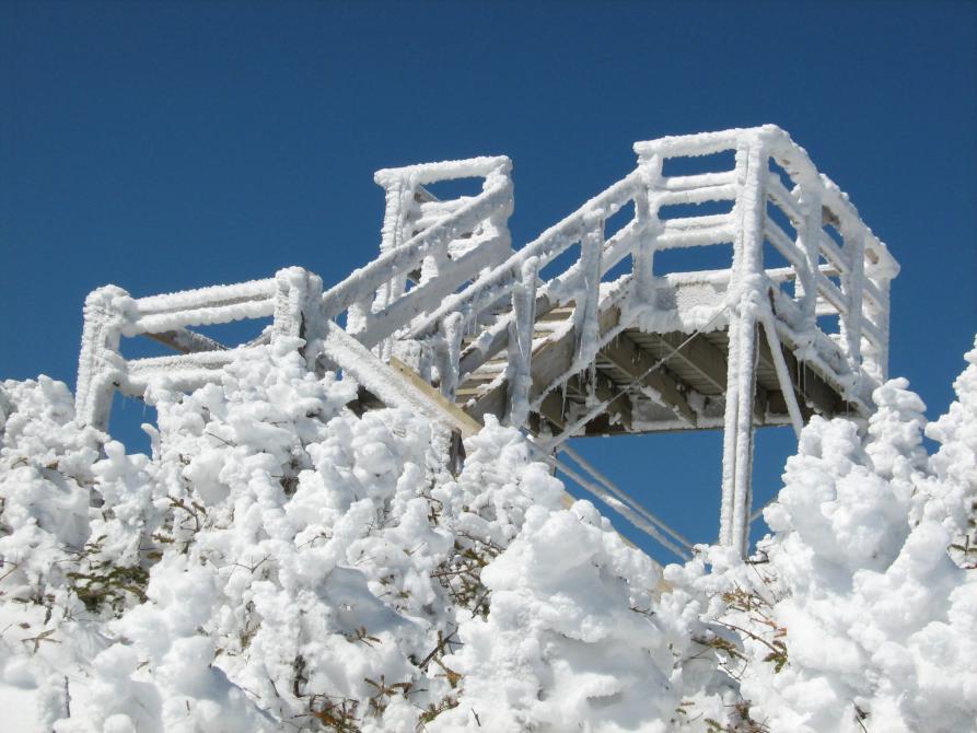 Observation Tower -  Mont Gosford: Trail Boucle du sommet - Mont Gosford