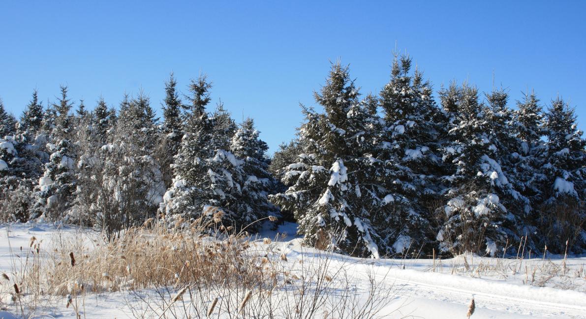 Centre d'interprétation de la nature du lac Boivin: Centre d'interprétation de la nature du lac Boivin