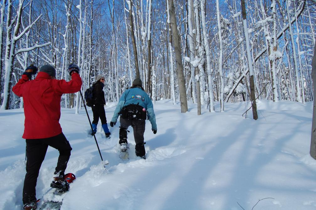 Missisquoi Nord – Backcountry pathways: Louise's Fall trail