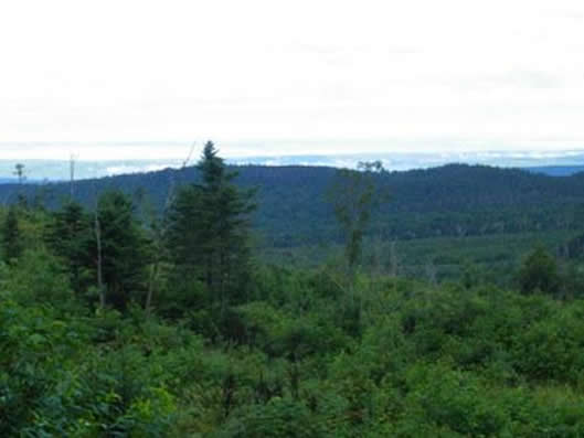 Sentier du Mont: Mont Bélanger