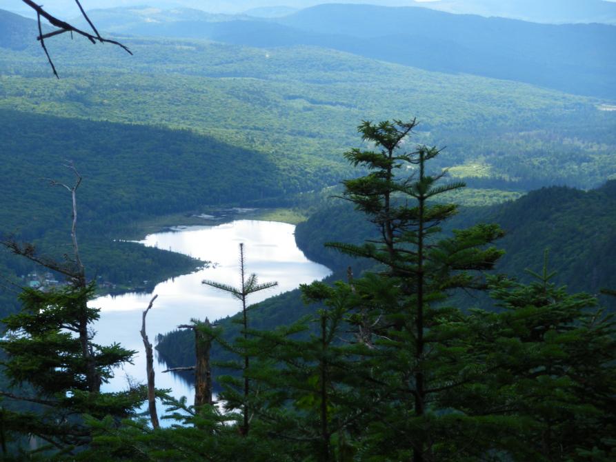 Sentier Face de Singe: Mont Bélanger