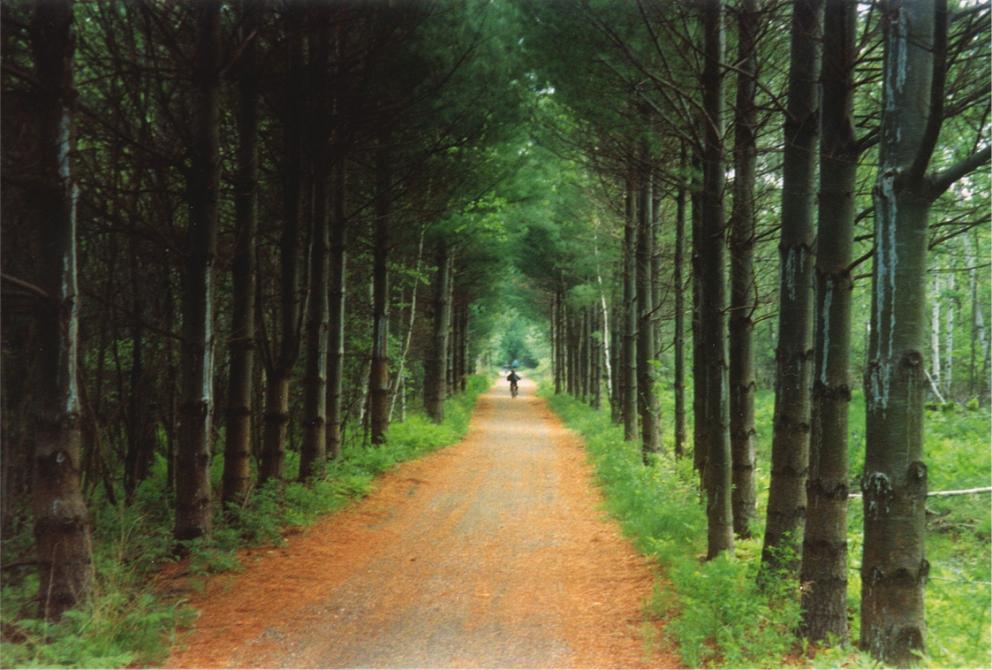 La Cantonnière - sentier de la Vallée: