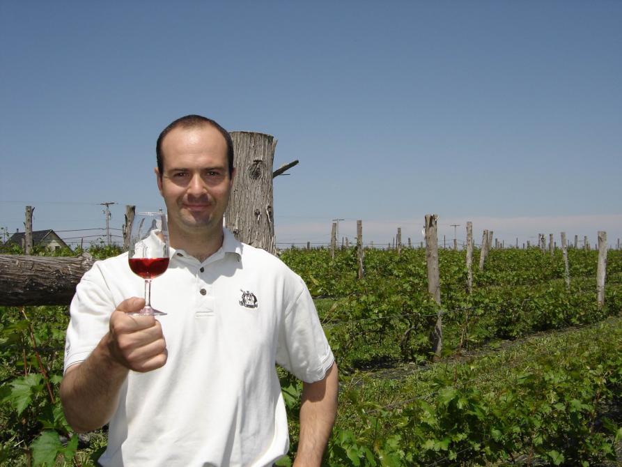 Vignoble de La Bauge: Vignoble de La Bauge