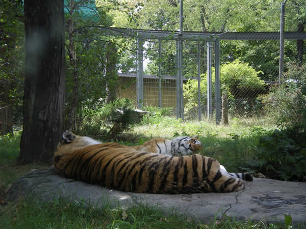 Zoo de Granby: Zoo de Granby