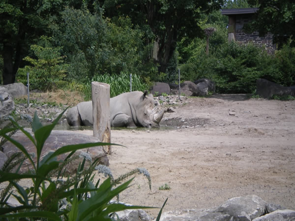Zoo de Granby: Zoo de Granby