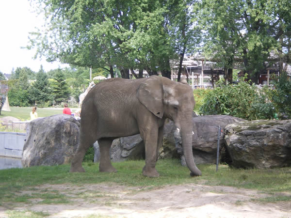 Zoo de Granby: Zoo de Granby