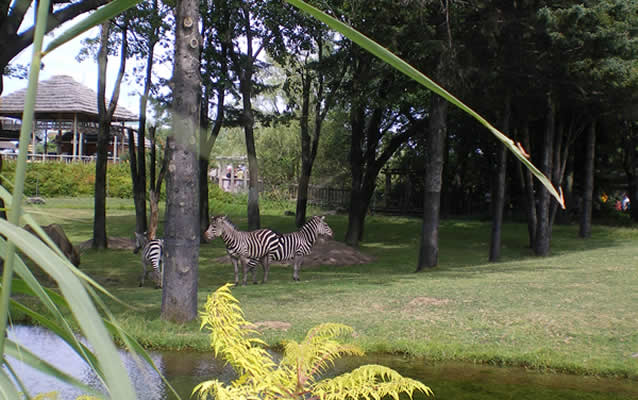 Zoo de Granby: Zoo de Granby