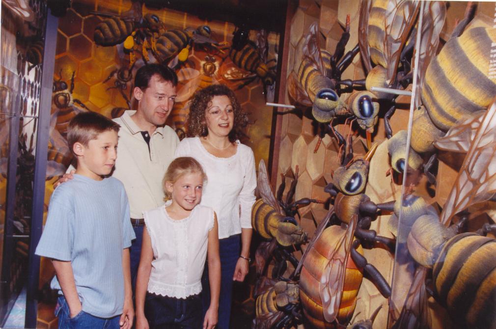 Giant hive: Discover the life of the bees in a giant hive.