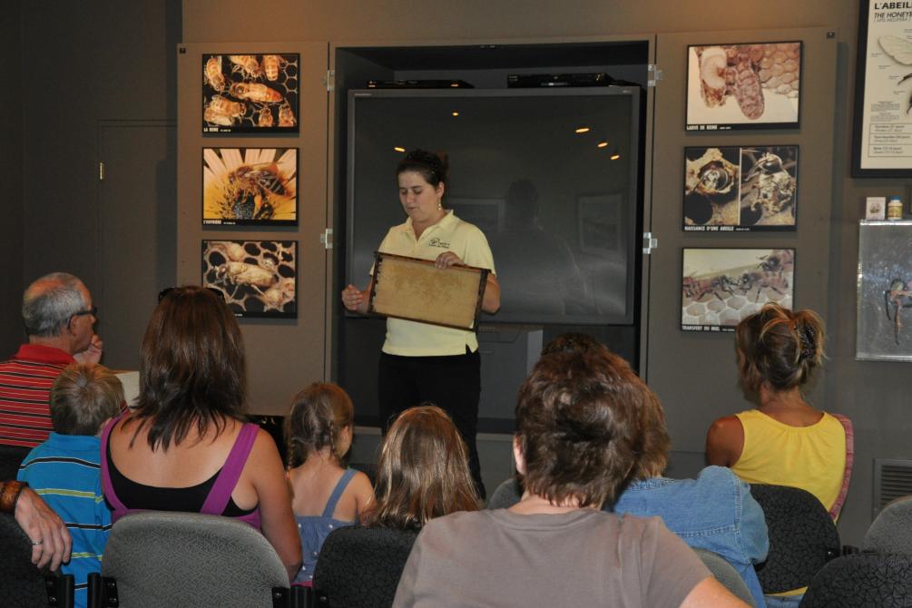 Guided tour: