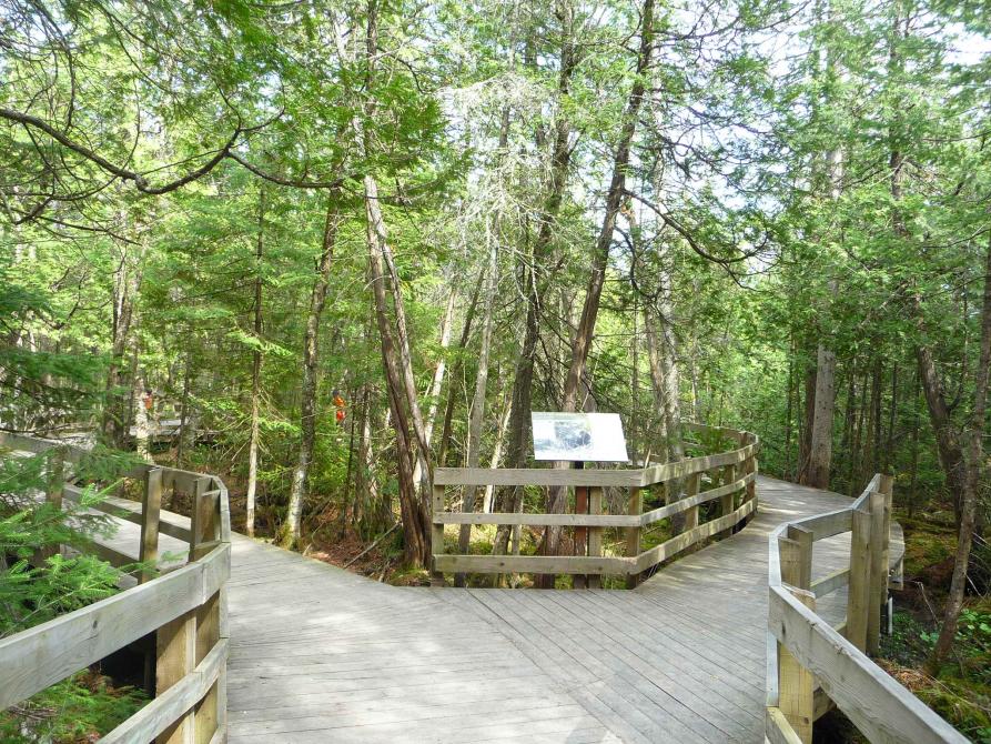 Trail nearby: