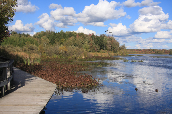 Trail - Le Marécage: Centre d'interprétation de la nature du lac Boivin